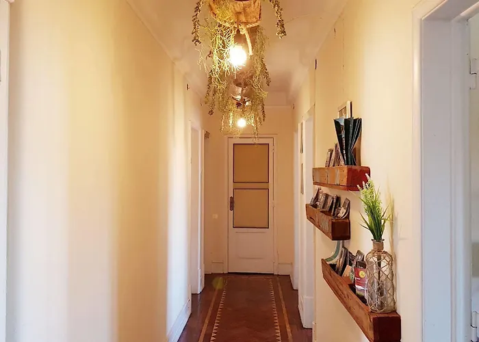 Penzion O Bigode Do Rato 2*