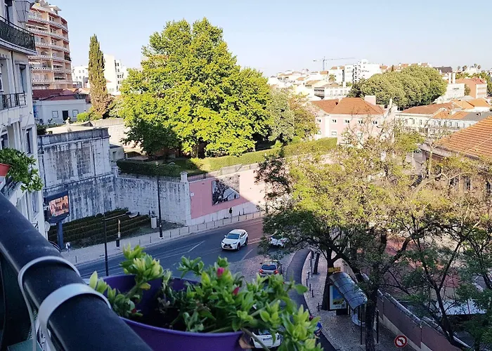 O Bigode Do Rato Penzion