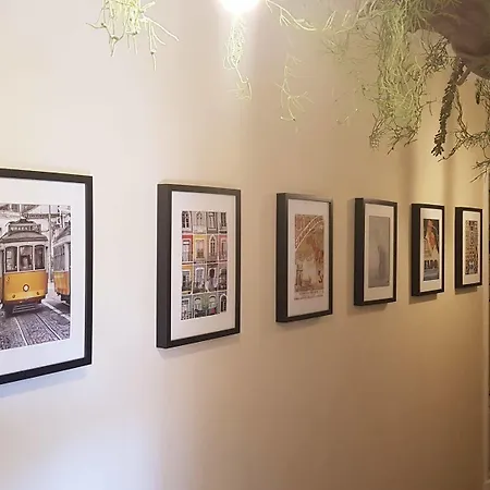 Гостевой дом O Bigode Do Rato Лиссабон