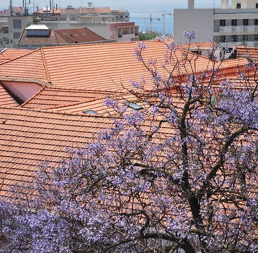 ゲストハウス O Bigode Do Rato リスボン