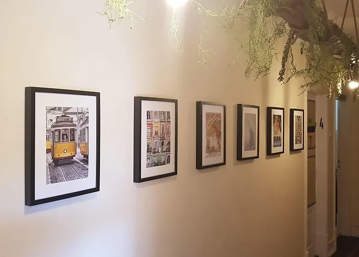 Pensión O Bigode Do Rato Lisboa