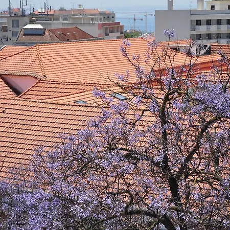 Πανσιόν O Bigode Do Rato Lisboa