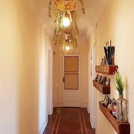 Πανσιόν O Bigode Do Rato 2*